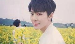 最新大爆料杨紫肖战