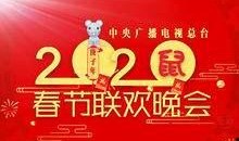 春晚最新爆料节目,精彩节目抢先看，年度盛宴即将开启！