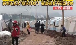 叙利亚最新局势新爆料,新爆料揭示战火背后的真相